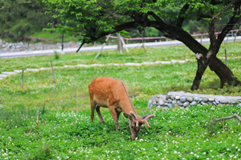 1762076945679131.png 图片1.png