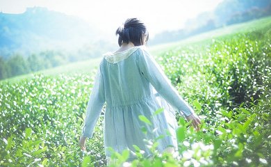 写景散文的鉴赏技巧归纳，你都掌握了吗？