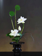 1786804485178651.png 图片3.png