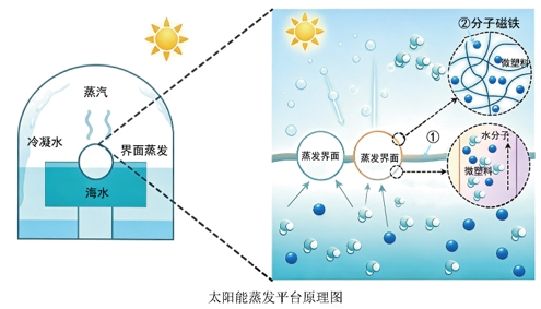 1786804631869956.png 图片2.png