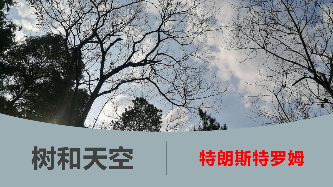  (统编选择性必修中）《树和天空》(节选）教学设计+配套课件