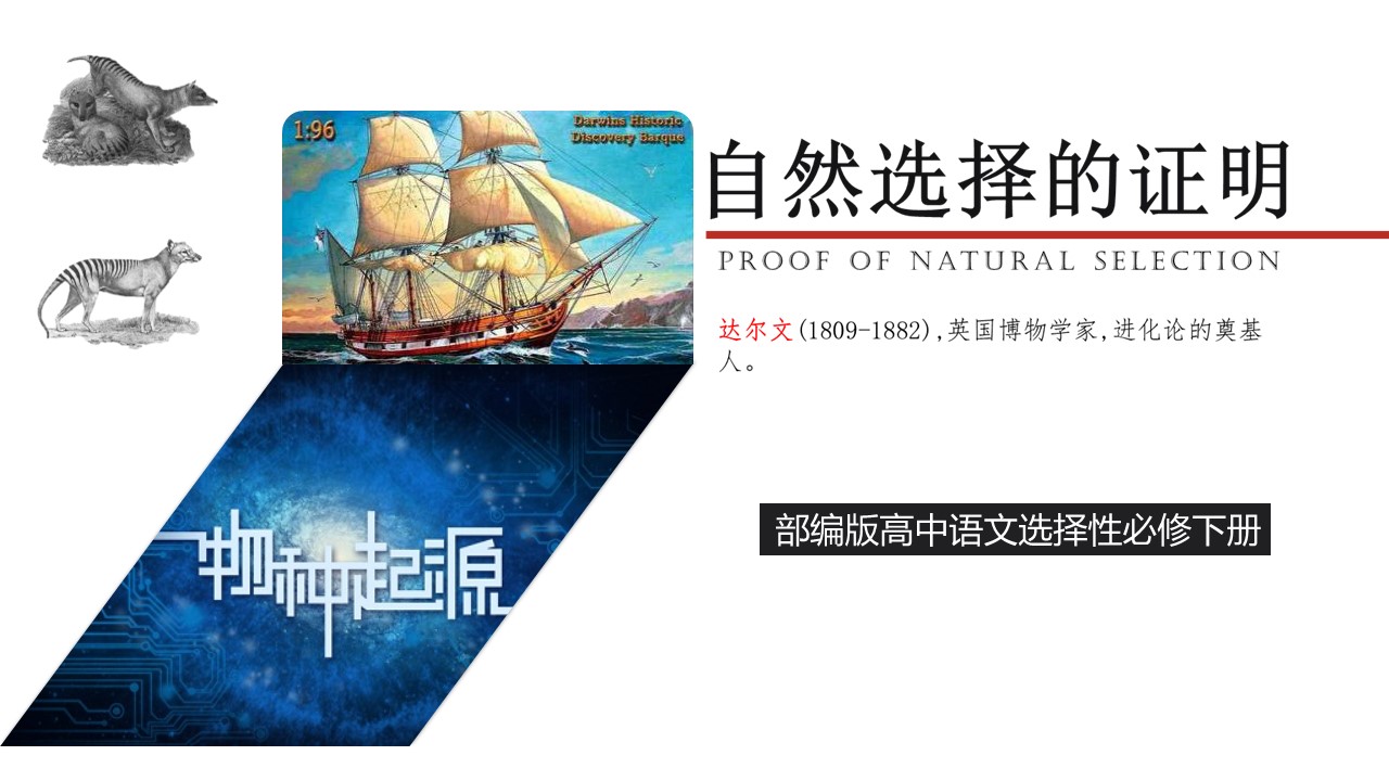  (统编选择性必修下）《自然选择的证明》教学设计+配套课件