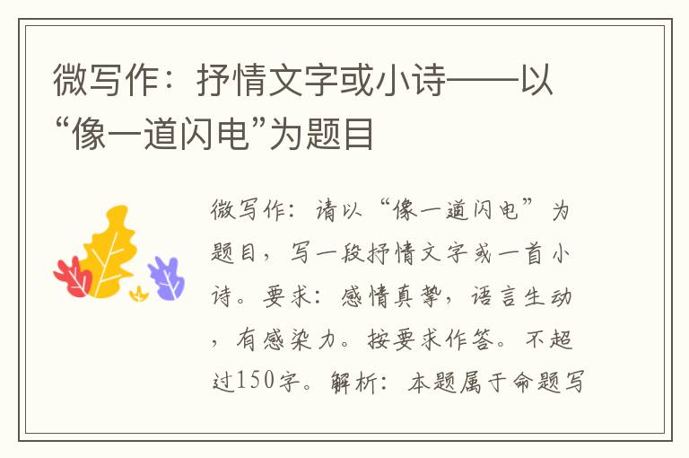 微写作：抒情文字或小诗——以“像一道闪电”为题目