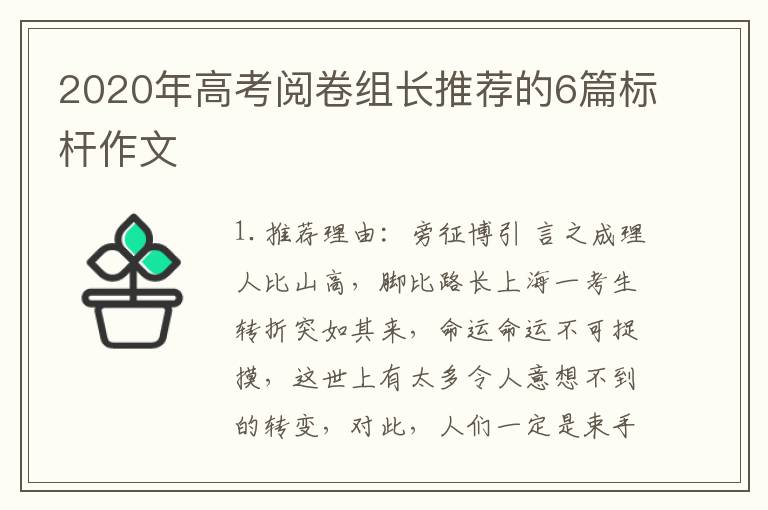 2020年高考阅卷组长推荐的6篇标杆作文